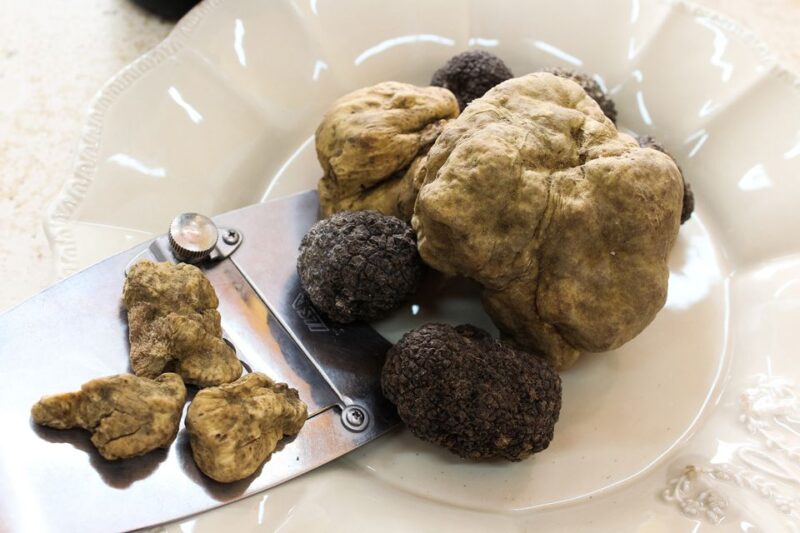 San Gimignano: Truffle Hunting With Lunch & Wine Tasting - Customer Feedback