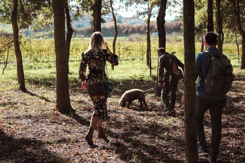 San Gimignano: Truffle Hunting With Lunch & Wine Tasting - Important Information