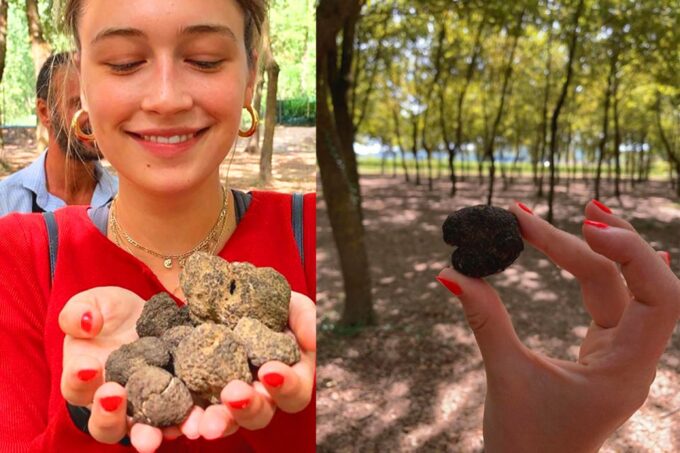 San Gimignano: Truffle Hunting With Lunch & Wine Tasting - Frequently Asked Questions
