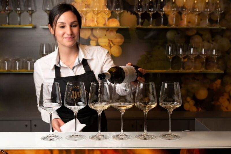 San Gimignano: Vernaccia Wine Tasting Experience - Overview of the Vernaccia Wine Tasting Experience