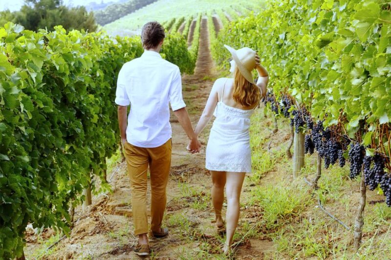 San Gimignano: Vineyard Walk With Wine Tasting in Winery - Key Points