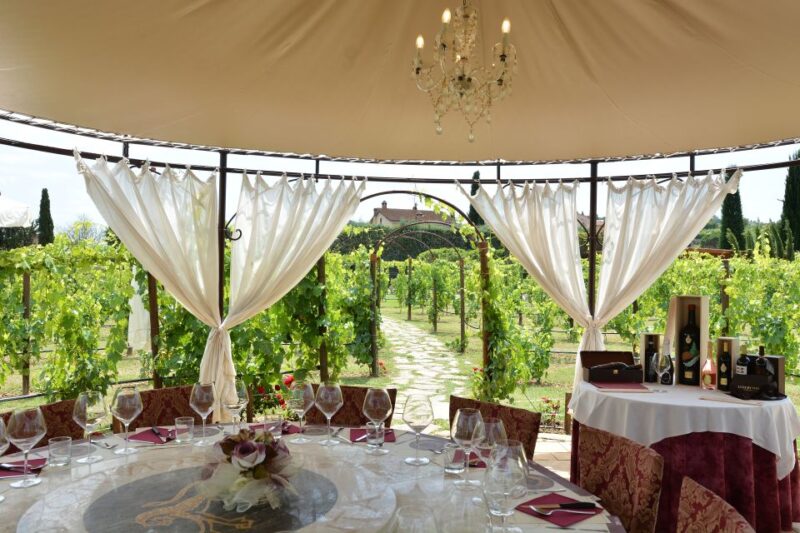 San Gimignano: Vineyard Walk With Wine Tasting in Winery - Spiral Vineyard: Aesthetics and Tradition