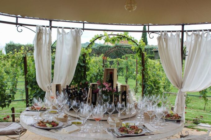San Gimignano: Vineyard Walk With Wine Tasting in Winery - Meeting Point and Logistics