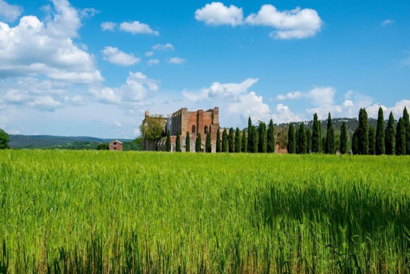 San Gimignano, Volterra, St Galgano Abbey Small Group Tour - Important Information
