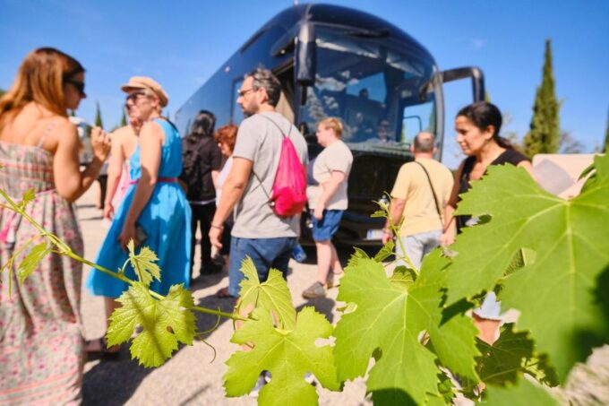 San Gimignano, Volterra, St Galgano Abbey Small Group Tour - Customer Reviews