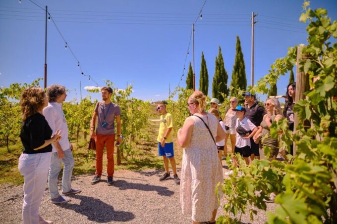 San Gimignano, Volterra, St Galgano Abbey Small Group Tour - Cancellation Policy