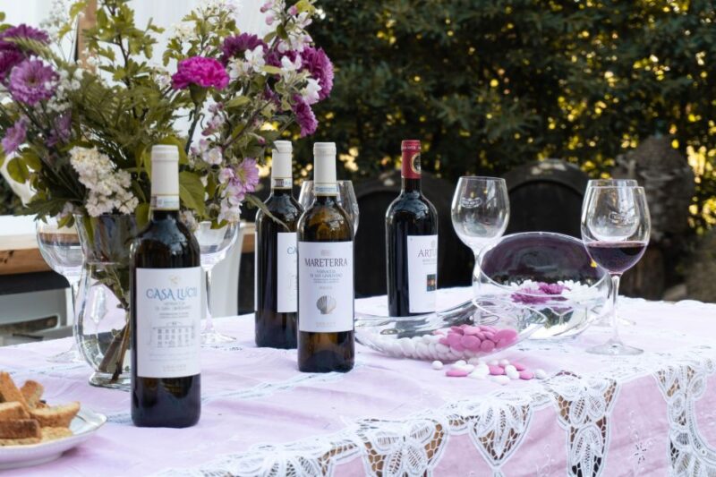 San Gimignano: Wine and Food Tasting in a Family Winery - Experience Overview