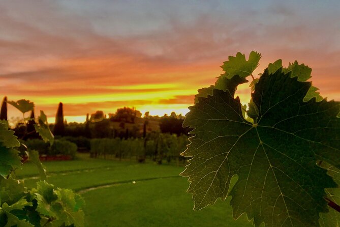 San Gimignano Wine Tour and Tuscan Appetizer for Small Group - Accessibility and Participation