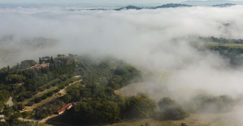 San Gregorio Tasting - Accessibility and Special Options
