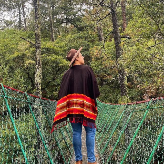 San Joaquín and Cadereyta. - Customer Feedback