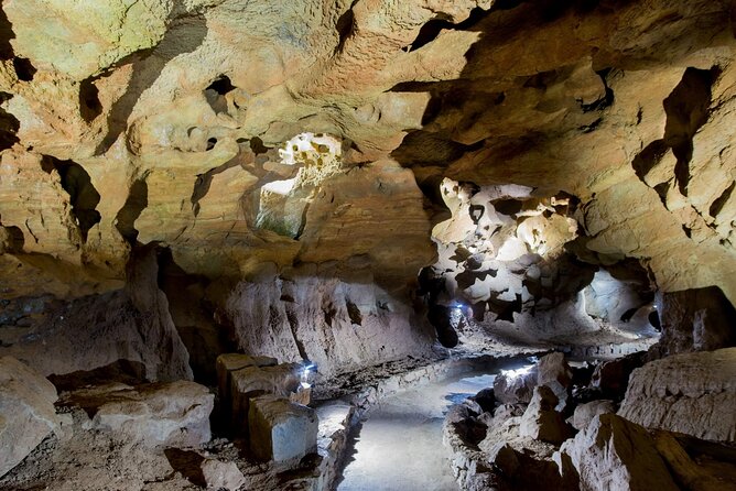 San Jose Caves Guided Tour From Valencia - Accessibility