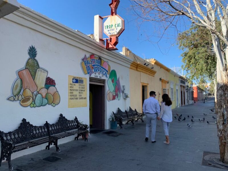 San José Del Cabo and Cabo San Lucas: Half-Day Guided Tour - Booking and Payment