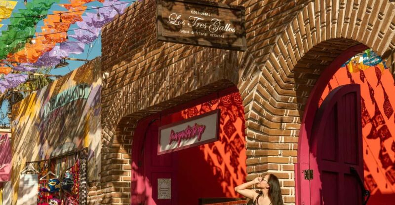 San Jose Del Cabo: Art & Wine Evening Tour With Hotel Pickup - Itinerary Highlights