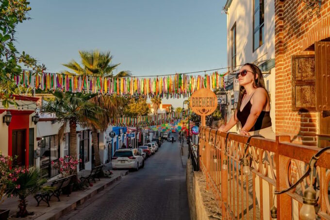 San Jose Del Cabo: Art & Wine Evening Tour With Hotel Pickup - Craft Beer Tasting