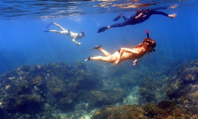 San Jose Del Cabo Private Snorkeling Tour - Important Information