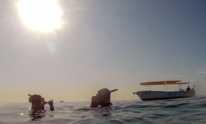 San Jose Del Cabo Private Snorkeling Tour - Frequently Asked Questions
