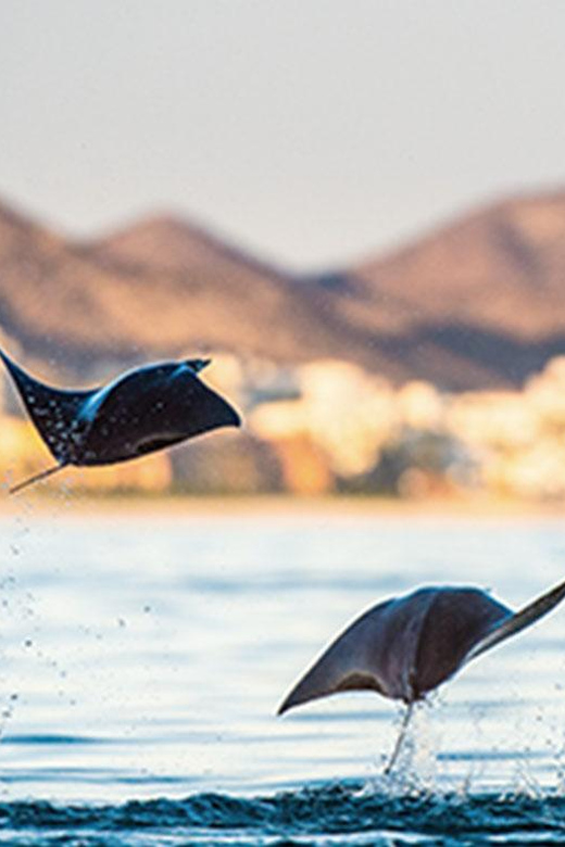 San Jose Del Cabo Private Wildlife Encounter - Scheduled Tour Season