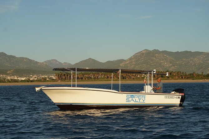 San Jose Del Cabo Small-Group Sunrise Whale Watching - Inclusions and Amenities
