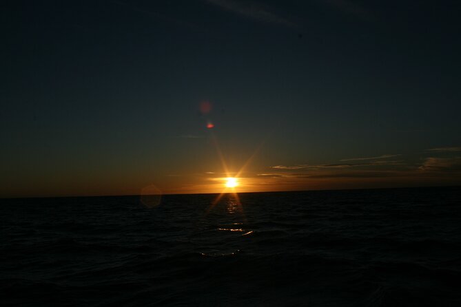 San Jose Del Cabo Small-Group Sunrise Whale Watching - Reviews and Feedback