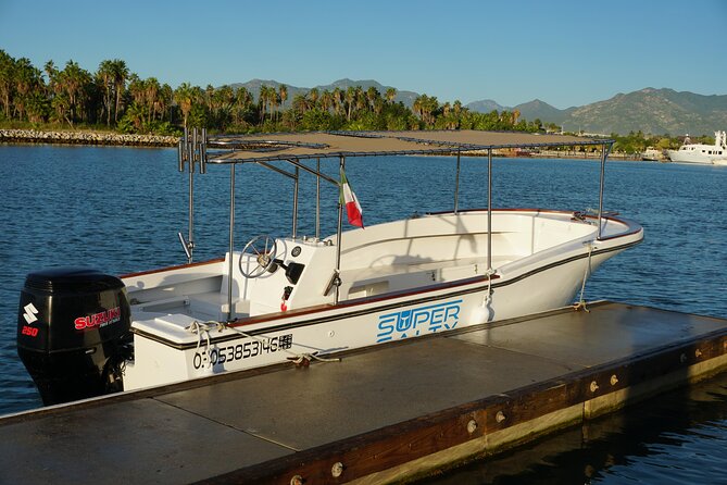 San Jose Del Cabo Small-Group Sunrise Whale Watching - Photographic Opportunities