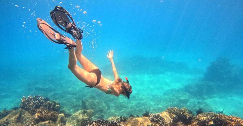 San Jose Del Cabo Snorkeling Tour - Itinerary and Experience