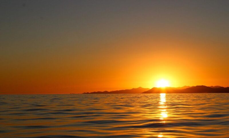 San Jose Del Cabo Sunset Cruise - Experience and Highlights