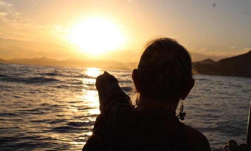 San Jose Del Cabo Sunset Whale Watching - Whats Included