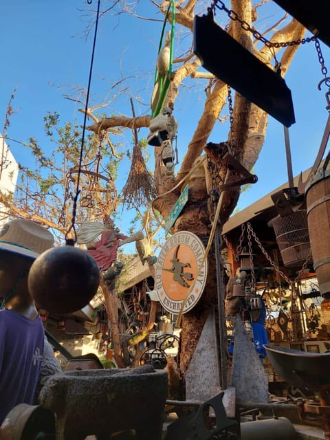 San Jose Del Cabo: Taco Tour - Culinary Journey