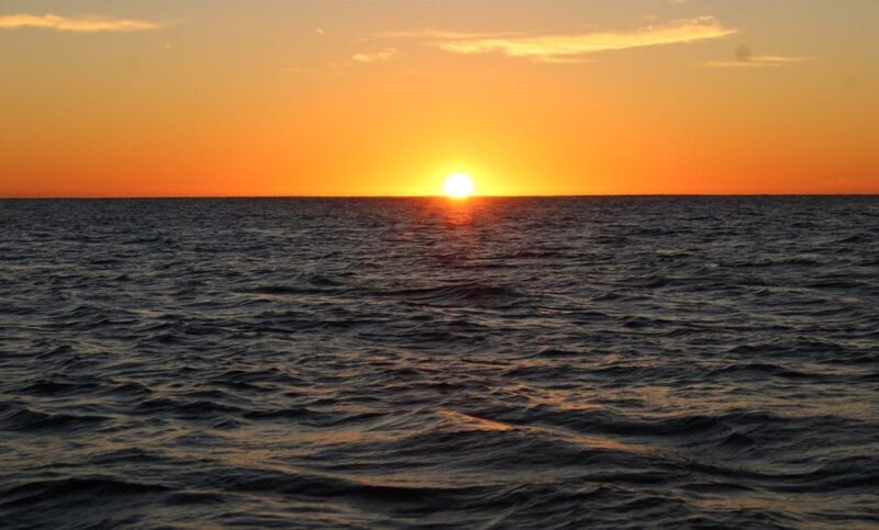 San Jose Del Cabo Whale Watching Sunrise Tour - Inclusions and Comfort Features