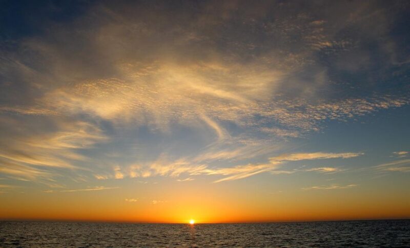 San Jose Del Cabo Whale Watching Sunrise Tour - Important Information and Restrictions
