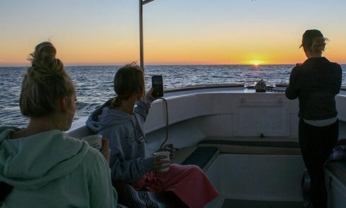 San Jose Del Cabo Whale Watching Sunrise Tour - Cancellation and Refund Policy