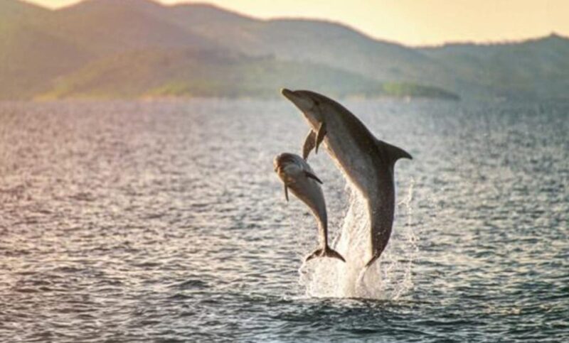 San Jose Del Cabo Wildlife Encounter - Activity Overview