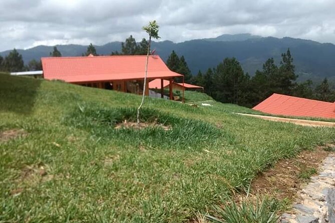 San José Del Pacifico: Between Clouds & Mountains - Tour Inclusions