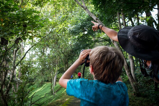 San Jose Walking Nature Tour: Sloths, Birds and Trees - Whats Included