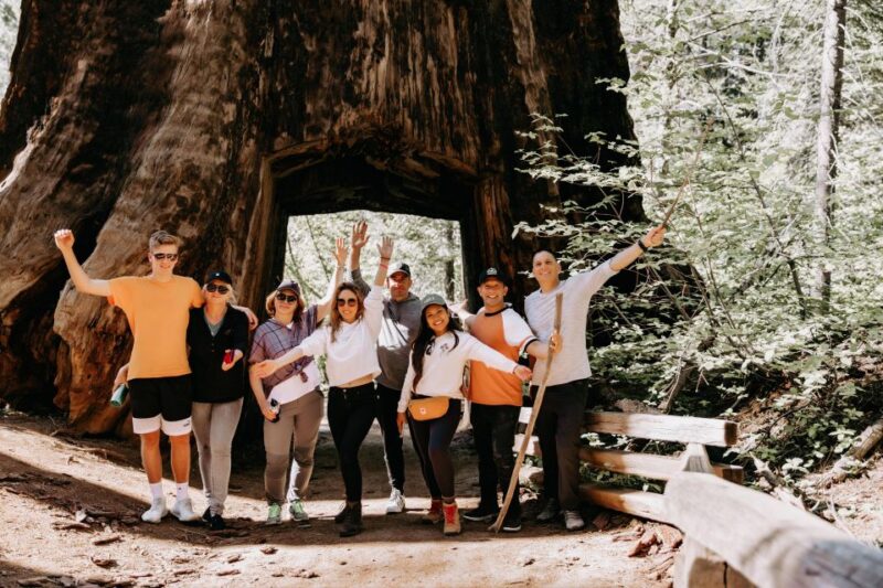 San Jose: Yosemite National Park and Giant Sequoias Trip - Experience and Activities