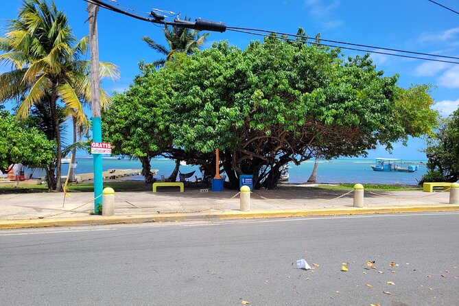 San Juan Airport Transportation to El Conquistador Hotel in Fajardo, PR - Exceptional Customer Experiences