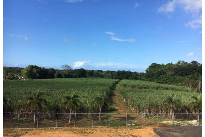 San Juan Artisan Distillers VIP Tour & Rum Tasting - Meeting Point and Transportation