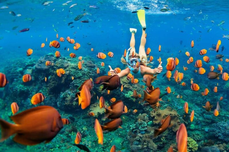San Juan Beach, Cabo Huertas Alicante: Rental Bike & Snorkel - Key Points