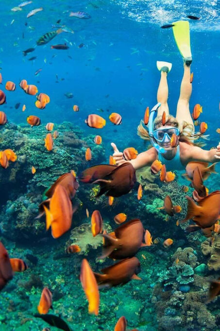 San Juan Beach, Cabo Huertas: Bike Tour & Snorkel With Drink - Highlights