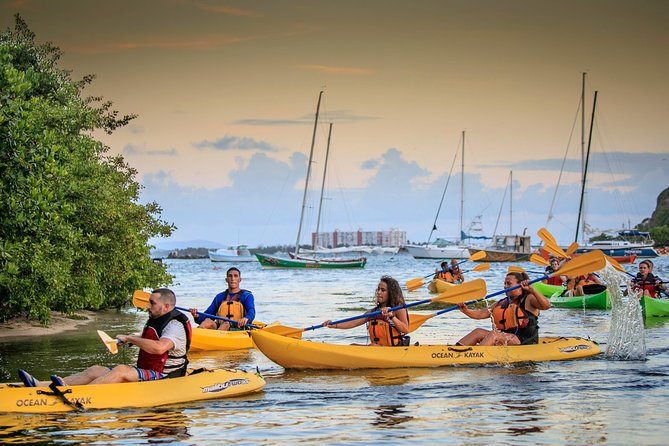San Juan Bio Bay Kayak Night Tour With Transport - Inclusions and Exclusions