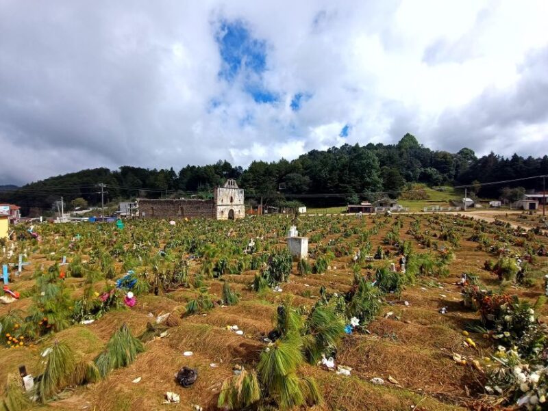 San Juan Chamula & Zinacantan Indigenous Villages Tour - Customer Feedback