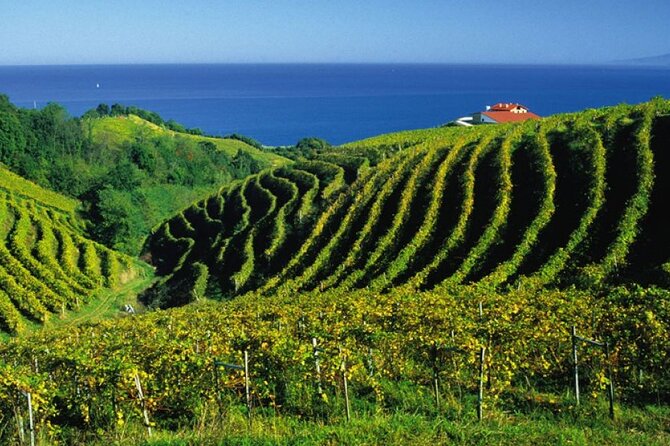 San Juan De Gaztelugatxe With Winery Visit and Lunch (From Bilbao) - Tour Overview and Highlights