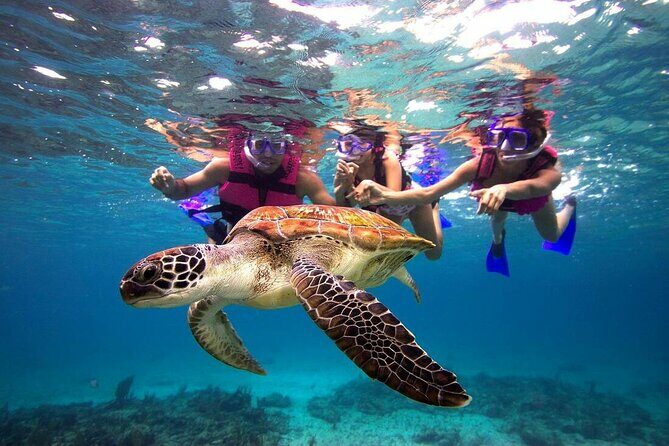 San Juan Guided Snorkeling Experience - With Transport 8am or 3pm - A Deep Dive into the Snorkeling Experience