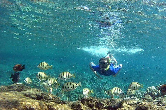 San Juan Guided Snorkeling Experience - With Transport 8am or 3pm - Frequently Asked Questions