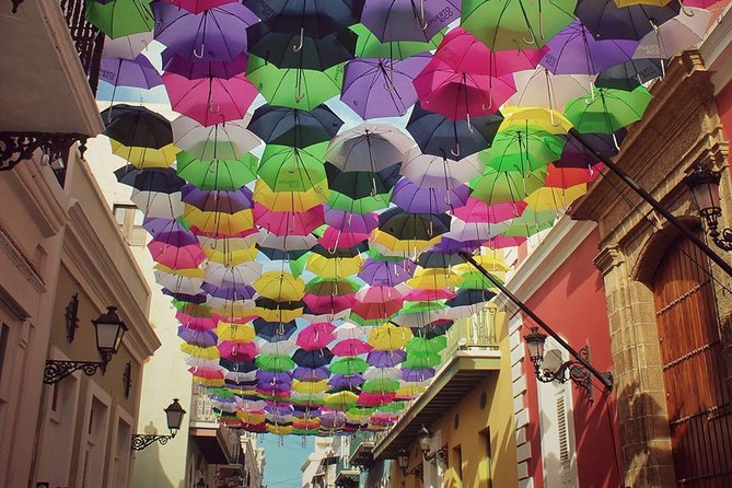 San Juan Highlight Tour - Traveler Experiences