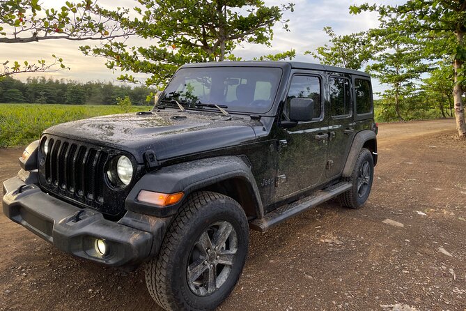 San Juan Highlights Private Sightseeing Tour in Jeep - Customer Reviews