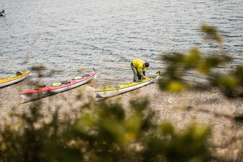 San Juan Island: 3-Hour Kayak Tour - Key Points