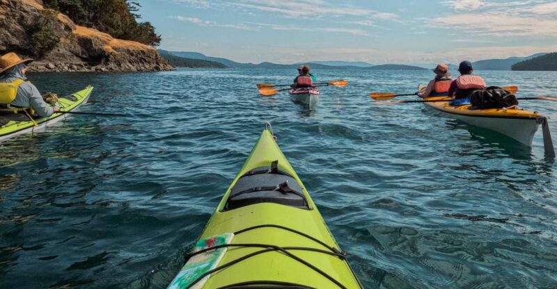 San Juan Island: 3-Hour Kayak Tour - Included in the Tour
