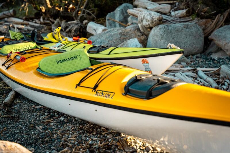 San Juan Island: 3-Hour Kayak Tour - Important Information