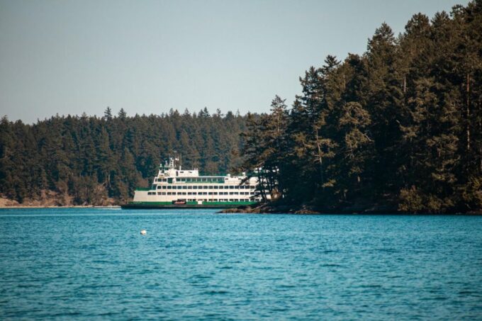 San Juan Island: 3-Hour Kayak Tour - Pricing and Booking